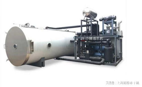 沙棘凍干粉技術(shù)和沙棘凍干機設(shè)備